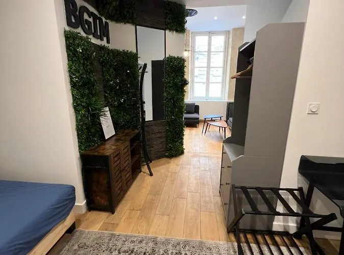 La Triangle D'or Parties Communes Sous Vidéo Surveillance Pas De Cuisine * Burdeos