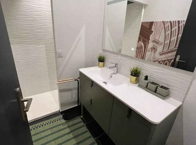 La Triangle D'or Parties Communes Sous Video Surveillance Pas De Cuisine * Bordeaux